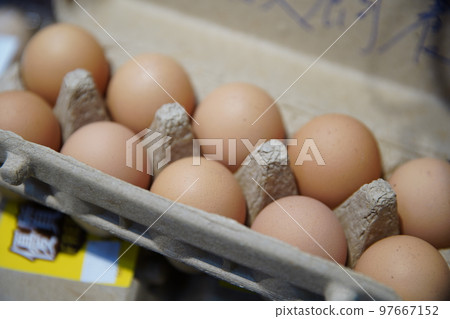 egg egg 97667152
