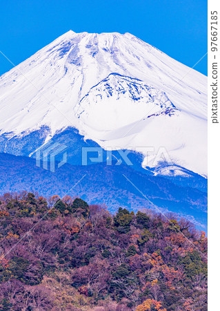 （靜岡縣）從伊豆之國守山展望台看到的富士山 97667185