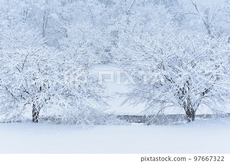 雪地 雪地 97667322