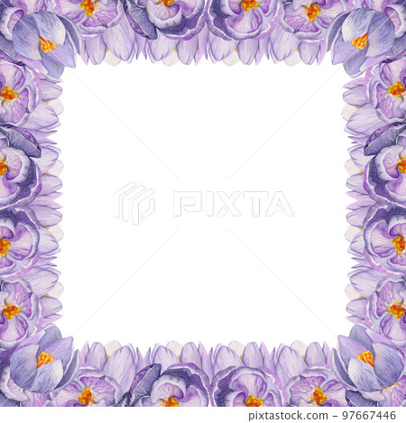 Watercolor hand drawn square frame with spring flowers, crocus, snowdrops, branches, leaves. Isolated on white background. Design for invitations, wedding, greeting cards, wallpaper, print, textile. Watercolor hand drawn square frame with spring flowers, crocus, snowdrops, branches, leaves. Isolated on white background. Design for invitations, wedding, greeting cards, wallpaper, print, textile. 97667446
