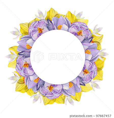 Watercolor hand drawn circle wreath with spring flowers, daffodils, crocus, snowdrops, leaves. Isolated on white background. Design for invitations, wedding, greeting cards, wallpaper, print, textile. Watercolor hand drawn circle wreath with spring flowers, daffodils, crocus, snowdrops, leaves. Isolated on white background. Design for invitations, wedding, greeting cards, wallpaper, print, textile. 97667457