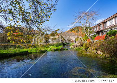 山梨縣忍野村秋季忍野八海、Nigori池塘 山梨縣忍野村秋季忍野八海、Nigori池塘 97668357