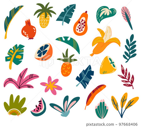 Tropical fruits and leaves. Exotic sweet fruits and palm leaves collection. Perfect for printing, postcards, prints and posters. Vector cartoon illustration 97668406