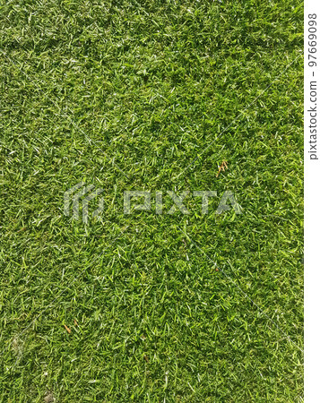 close up. background of artificial green grass. 97669098