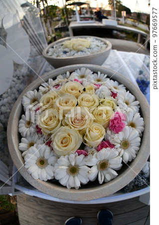 rose flower illumination rose flower illumination 97669577