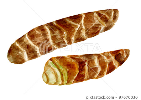 Hand-painted watercolor Kyoto sweet potato illustration Hand-painted watercolor Kyoto sweet potato illustration 97670030