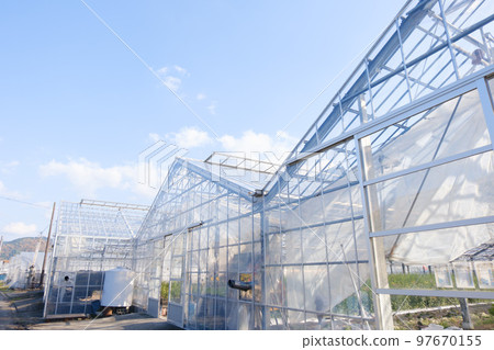 Scenery and blue sky of plastic greenhouses often used by Japanese farmers 97670155