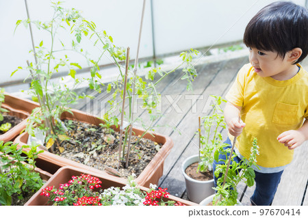 Veranda vegetable garden children Veranda vegetable garden children 97670414