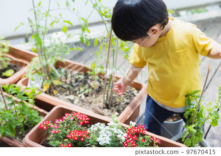 Veranda vegetable garden children Veranda vegetable garden children 97670415