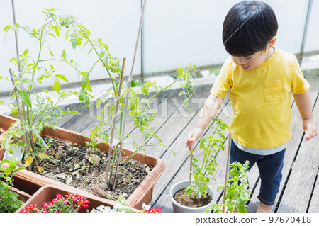 陽台菜園子 97670418