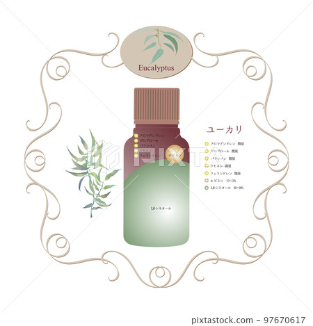 桉樹精油成分錶 ・桉樹 ・樹的香氣成分圖 ・木香 ・香氣 ・精油 97670617