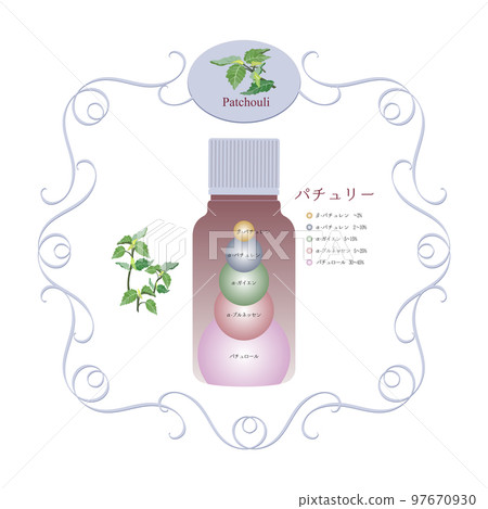 廣藿香精油成分錶 廣藿香和東方香精成分圖 香氣 精油 廣藿香精油成分錶 廣藿香和東方香精成分圖 香氣 精油 97670930