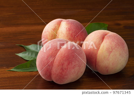 Peaches with leaves_Summer seasonal fruits Peaches with leaves_Summer seasonal fruits 97671345