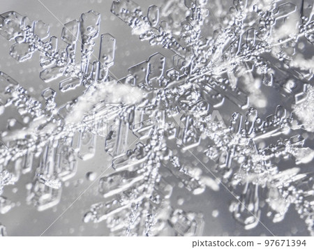 real snowflake 97671394