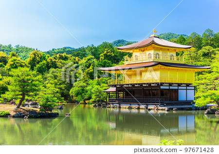 京都金閣寺在春天 97671428