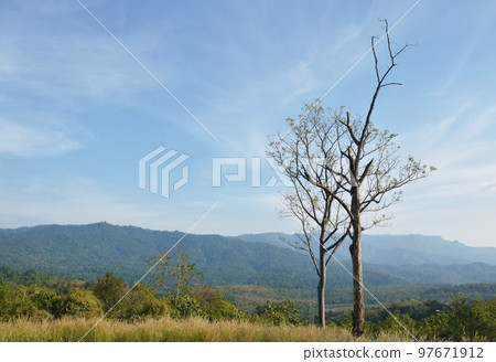 landscape of tree in sunset on mountain at Thailand landscape of tree in sunset on mountain at Thailand 97671912