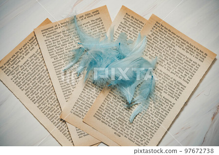 books and feathers 97672738