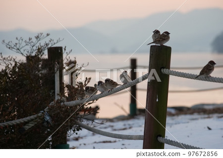 dumulmeori winter 97672856