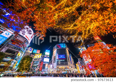 日本澀谷的東京城市景觀在平安夜非常擁擠。彩燈與紅葉爭鋒=24日23:43 97673613