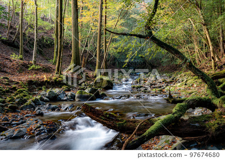 滑澤溪谷的紅葉 97674680