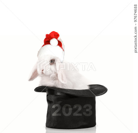 Santa rabbit at black hat Santa rabbit at black hat 97674688