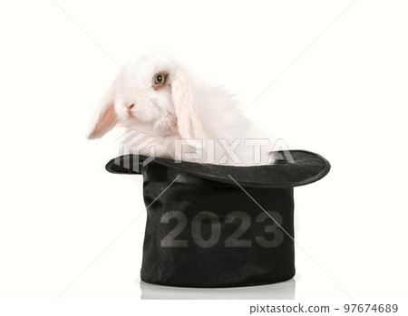 rabbit at black hat rabbit at black hat 97674689