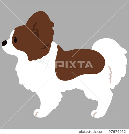 Sideways simple and cute illustration of Papillon No main line Sideways simple and cute illustration of Papillon No main line 97674932