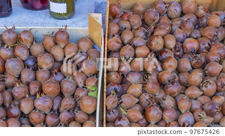 Common Medlar Fruits Crates 97675426