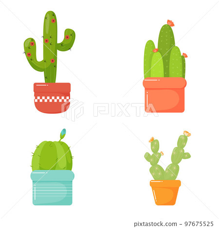 cacti in pots set 97675525