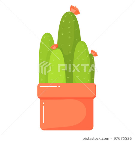 cactus in a red pot cactus in a red pot 97675526