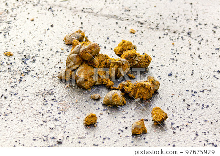 Horse manure 97675929