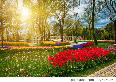 Emirgan Park, Istanbul Emirgan Park, Istanbul 97676086