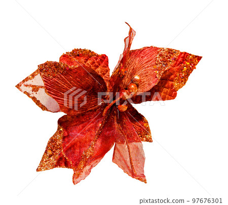 Red flower Red flower 97676301