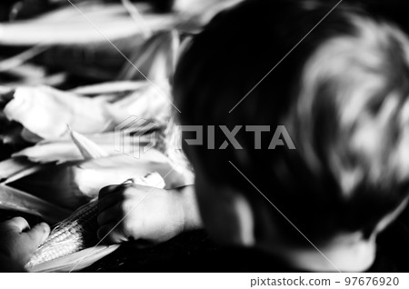 Small child learning to Shucking and tasseling sweet corn  97676920