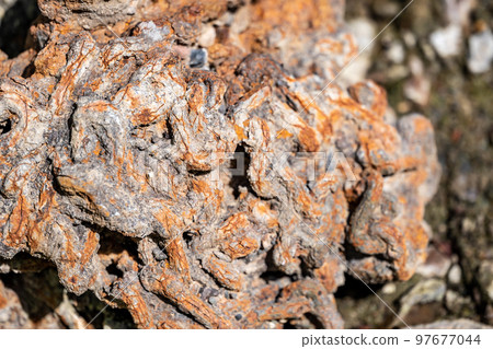 Rusted and corroded chain discarded and buried 97677044