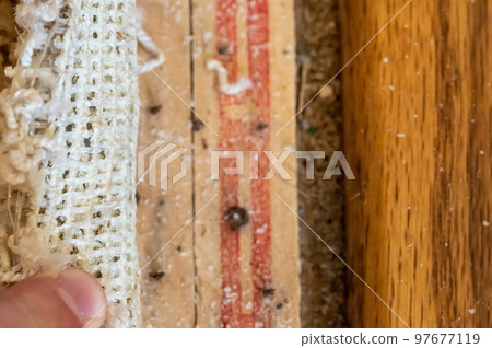 Carpet tack strip exposed during a flooring home improvement project 97677119