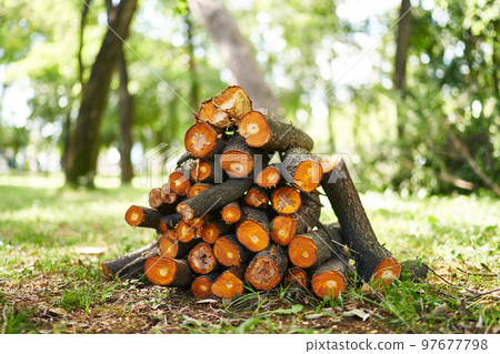 Chopped firewood lies in a heap on a green meadow. High quality photo 97677798