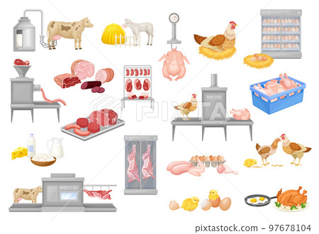 Automated Meat Production Process with Equipment and Beef and Chicken Product Big Vector Set 97678104