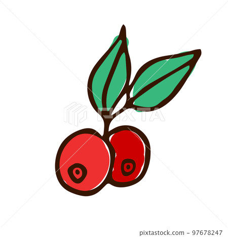 A cluster of red berries with green leaves. Illustration, sketch A cluster of red berries with green leaves. Illustration, sketch 97678247