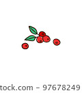 A cluster of red berries with green leaves. Illustration, sketch 97678249
