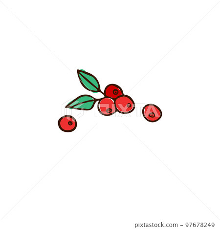 A cluster of red berries with green leaves. Illustration, sketch A cluster of red berries with green leaves. Illustration, sketch 97678249