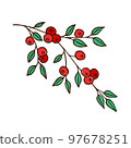A cluster of red berries with green leaves. Illustration, sketch 97678251