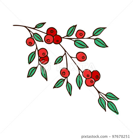 A cluster of red berries with green leaves. Illustration, sketch A cluster of red berries with green leaves. Illustration, sketch 97678251