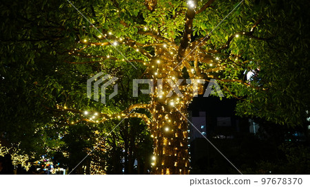 Impressed by Tokyo Midtown Illumination 2022/LIGHTS STORY Impressed by Tokyo Midtown Illumination 2022/LIGHTS STORY 97678370