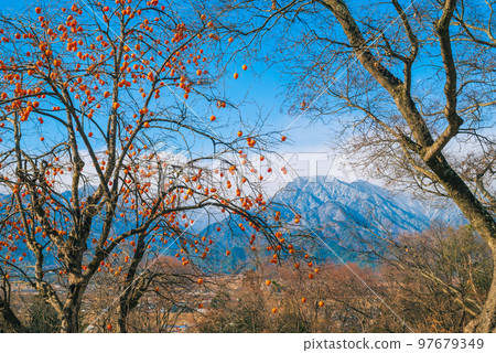 有明和柿子[北安曇郡池田町] 97679349