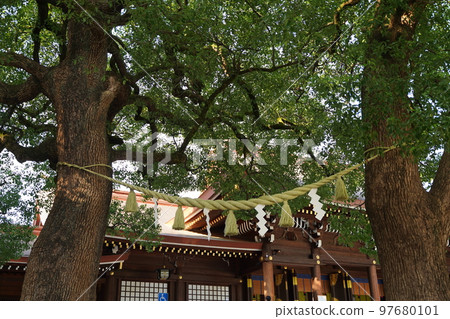 明治神宮神社原宿東京日本建築藍天藍雲戶外牌坊樹自然情侶情侶樹情侶 明治神宮神社原宿東京日本建築藍天藍雲戶外牌坊樹自然情侶情侶樹情侶 97680101
