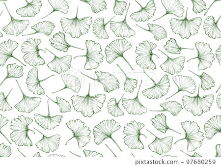 Ginkgo biloba leaves. Seamless pattern, background. Ginkgo biloba leaves. Seamless pattern, background. 97680259