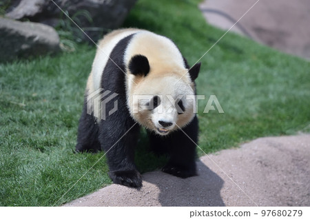 櫻濱對畫廊的喜愛 櫻濱對畫廊的喜愛 97680279