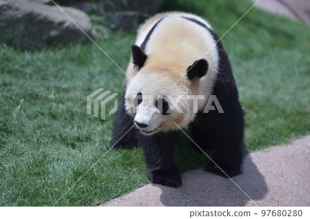 櫻濱對畫廊的喜愛 櫻濱對畫廊的喜愛 97680280
