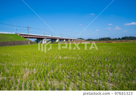 Onaribashi, the widest river in Japan Autumn scenery, Yoshimicho, Konosu city Onaribashi, the widest river in Japan Autumn scenery, Yoshimicho, Konosu city 97681323